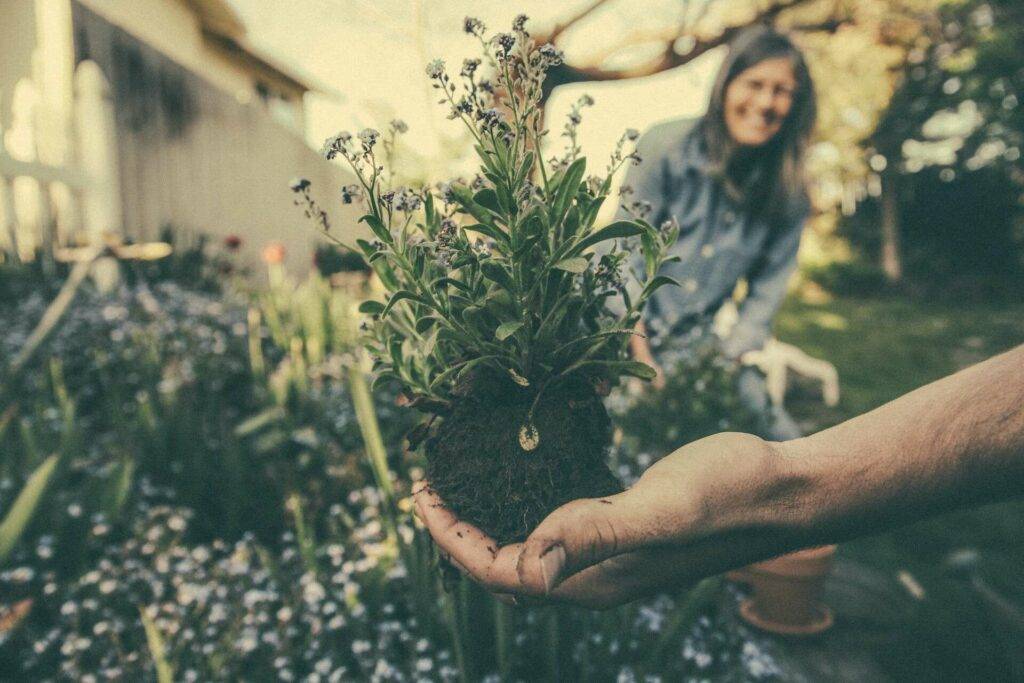 gardening is Fun and Easy Hobbies to Try at Home